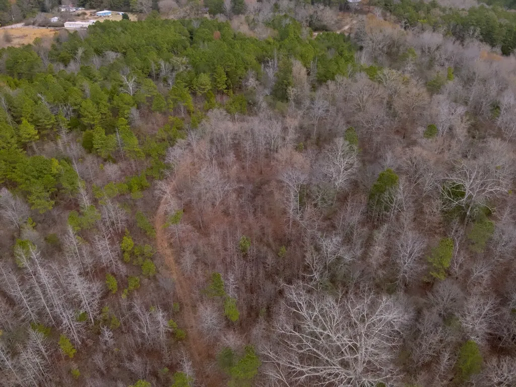 0 Cove Shocco Road Talladega AL 35160