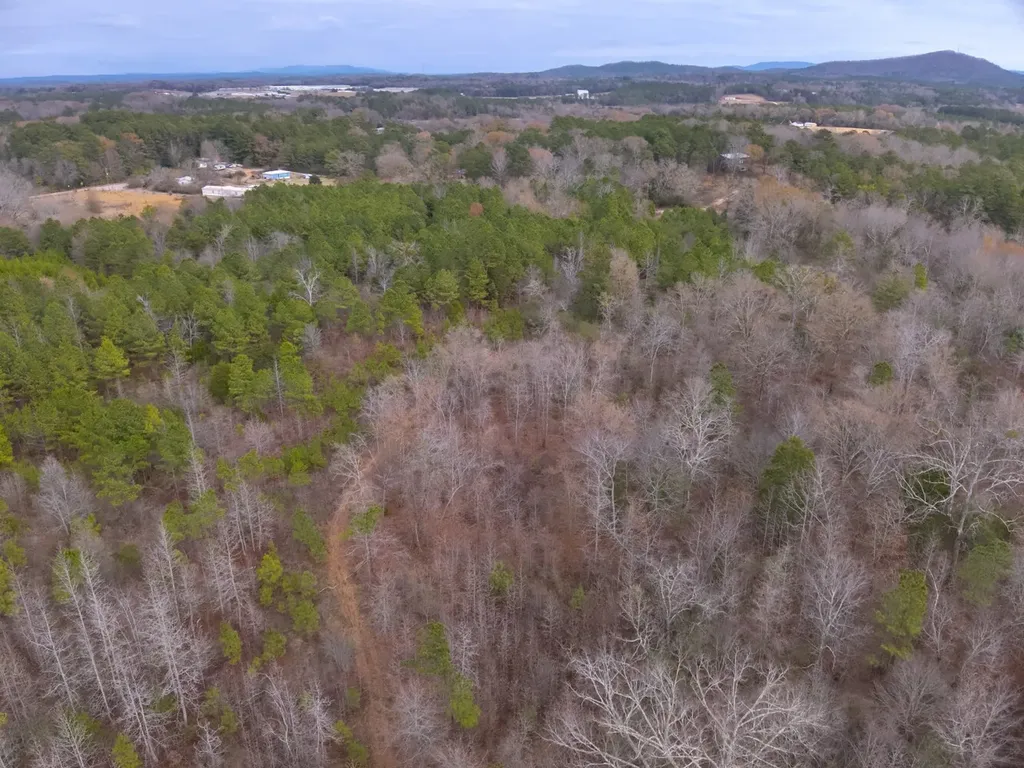 0 Cove Shocco Road Talladega AL 35160