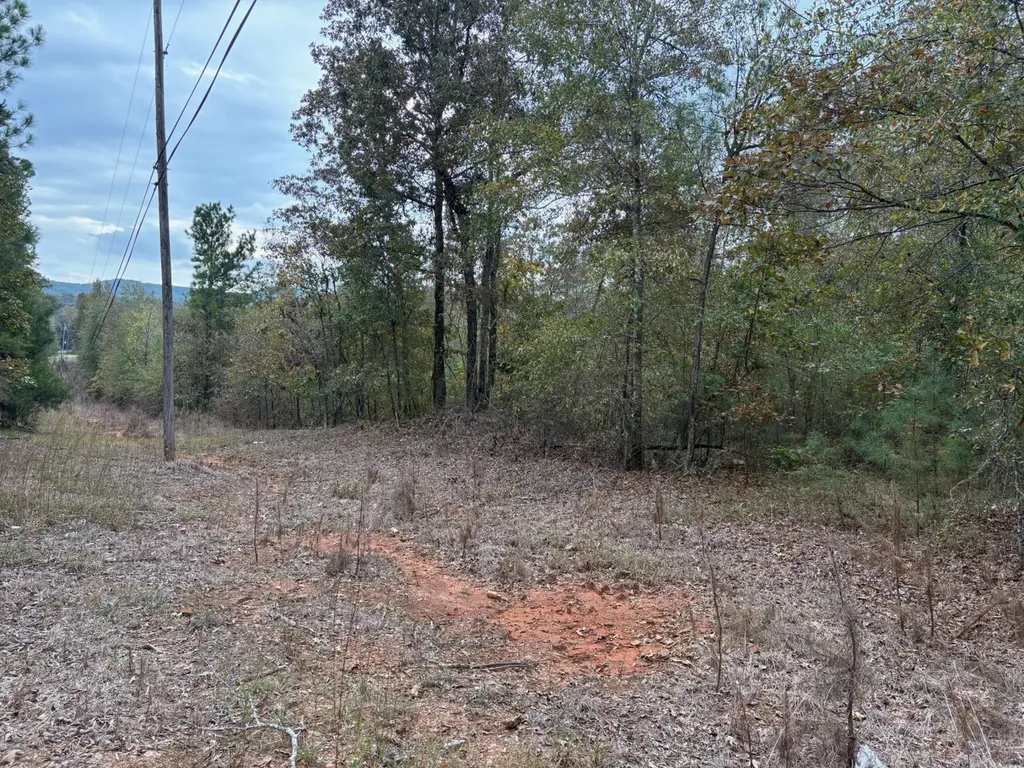 0 Cove Shocco Road Talladega AL 35160