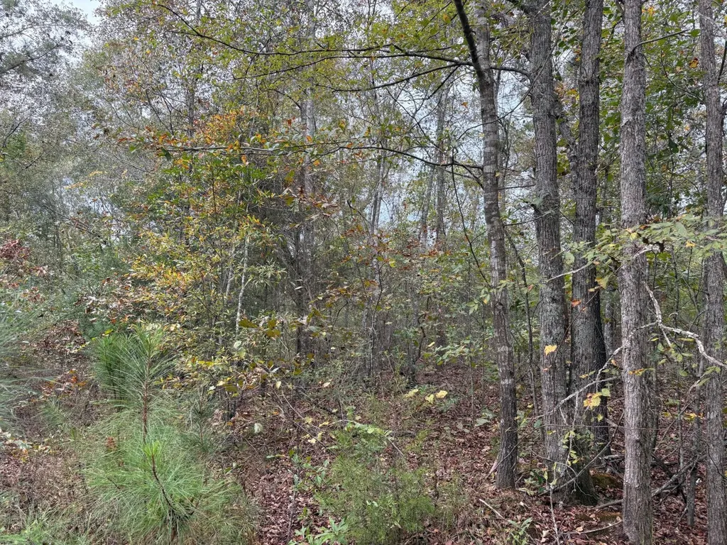 0 Cove Shocco Road Talladega AL 35160