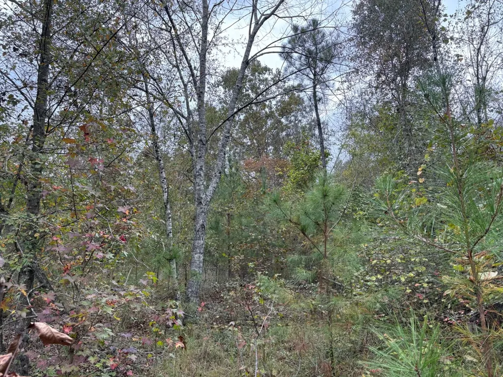 0 Cove Shocco Road Talladega AL 35160