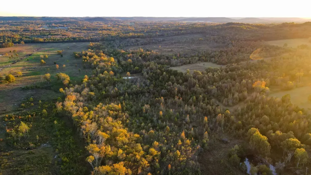 1 County Road 78 Russellville AL 35654