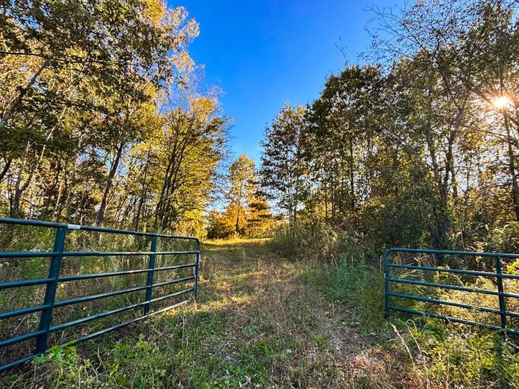 1 County Road 78 Russellville AL 35654