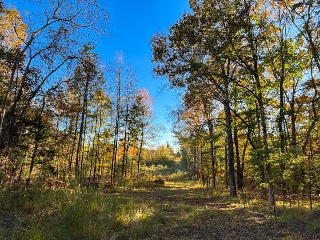 1 County Road 78 Russellville AL 35654