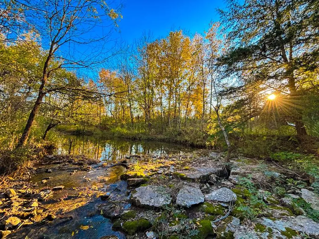 1 County Road 78 Russellville AL 35654