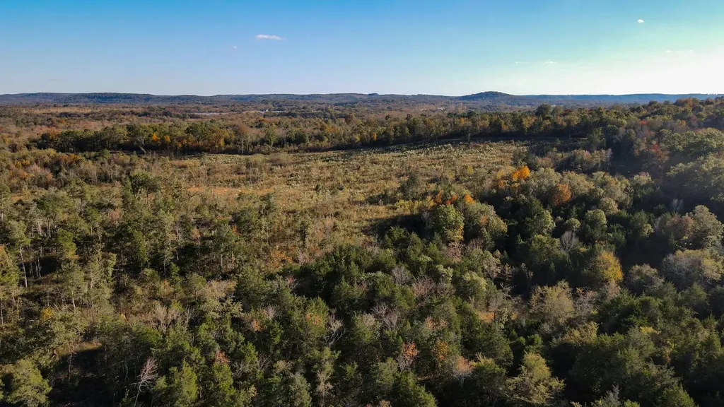 1 County Road 78 Russellville AL 35654