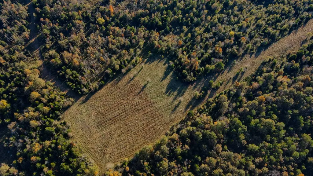 1 County Road 78 Russellville AL 35654