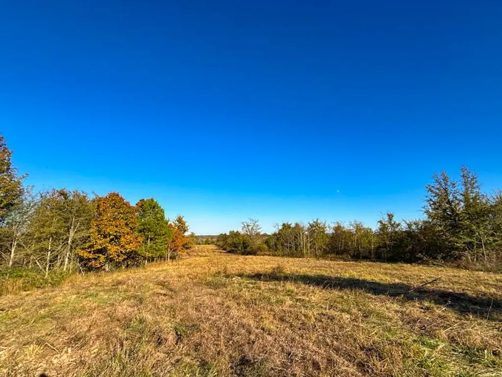 1 County Road 78 Russellville AL 35654