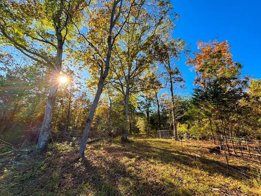 1 County Road 78 Russellville AL 35654