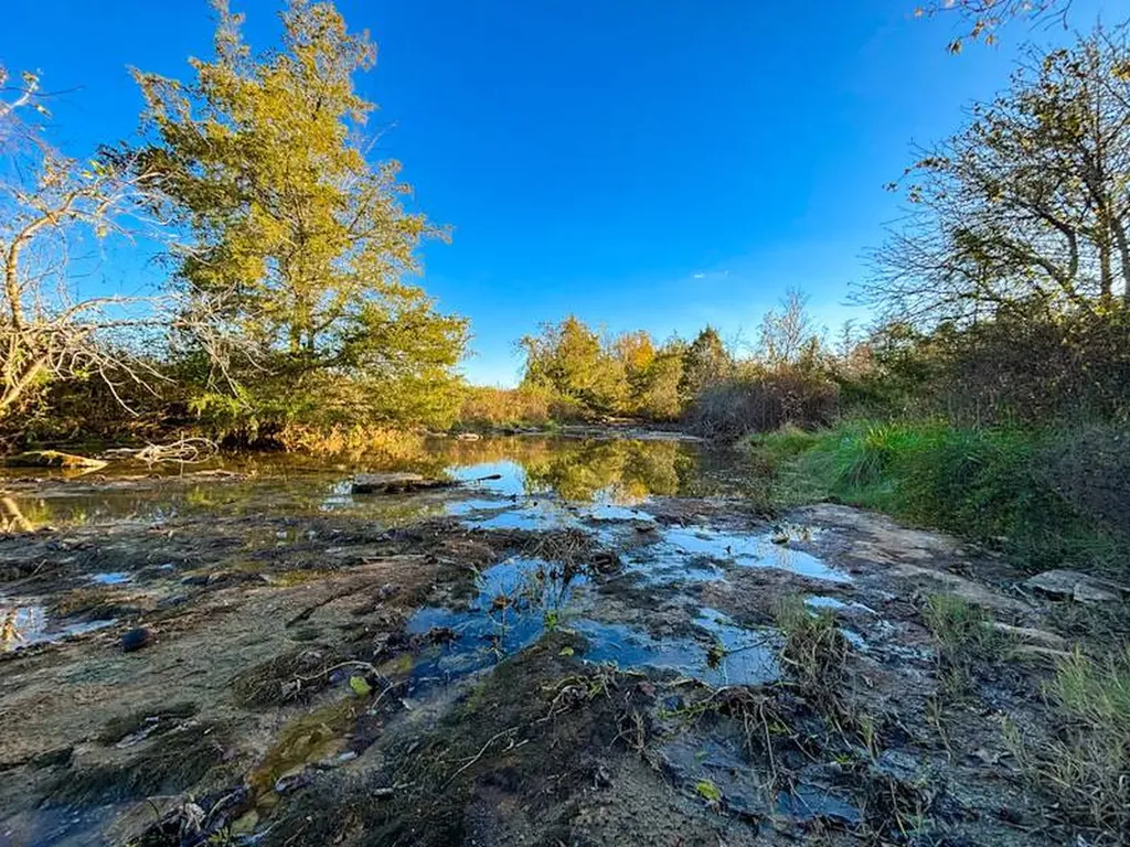 1 County Road 78 Russellville AL 35654