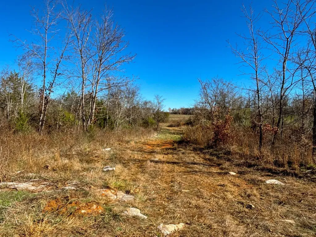 1 County Road 78 Russellville AL 35654