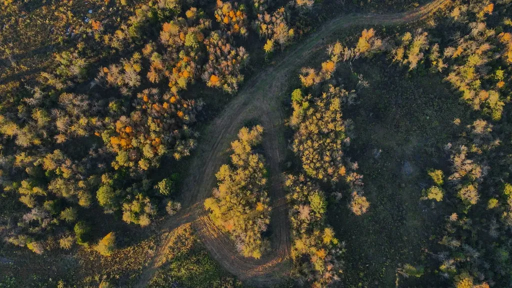 1 County Road 78 Russellville AL 35654