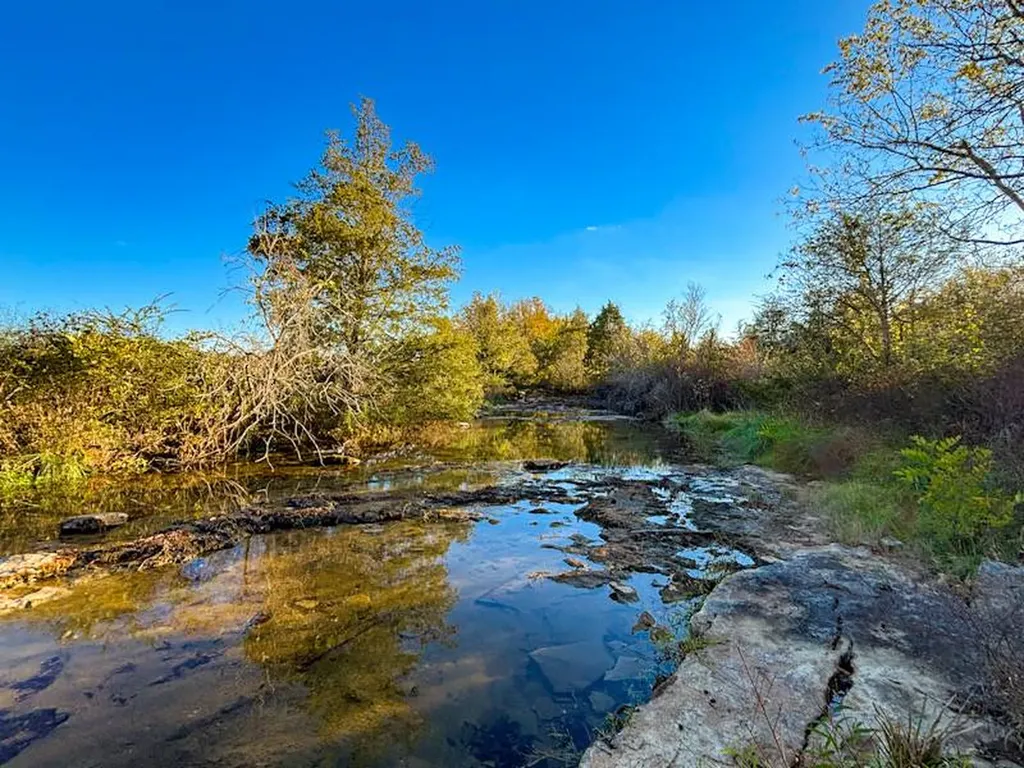 1 County Road 78 Russellville AL 35654