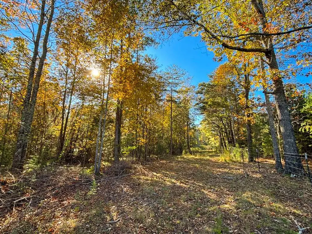 1 County Road 78 Russellville AL 35654