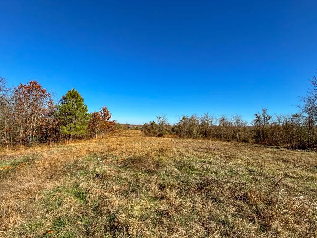 1 County Road 78 Russellville AL 35654