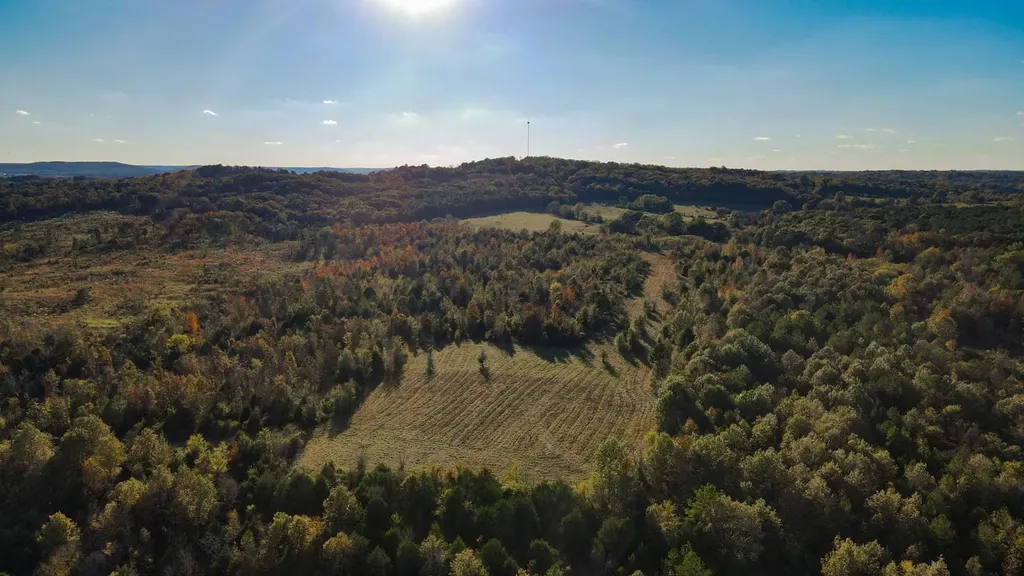 1 County Road 78 Russellville AL 35654