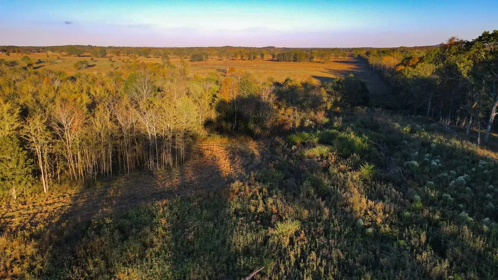 1 County Road 78 Russellville AL 35654