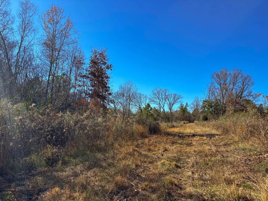 1 County Road 78 Russellville AL 35654