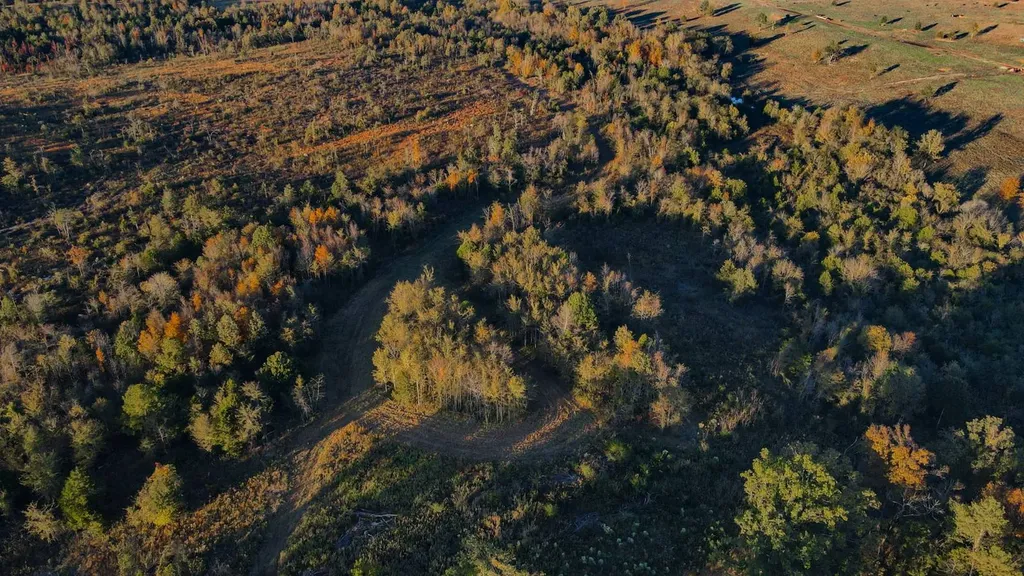 1 County Road 78 Russellville AL 35654