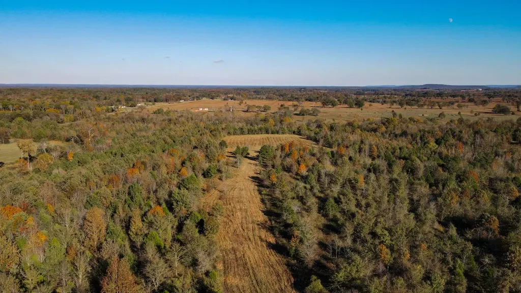 1 County Road 78 Russellville AL 35654