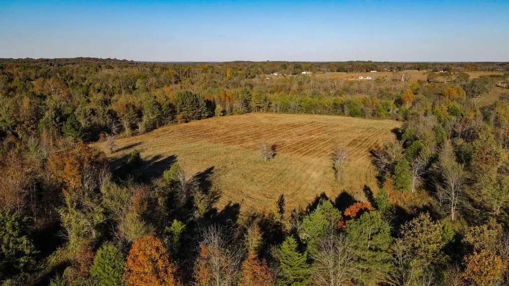 1 County Road 78 Russellville AL 35654