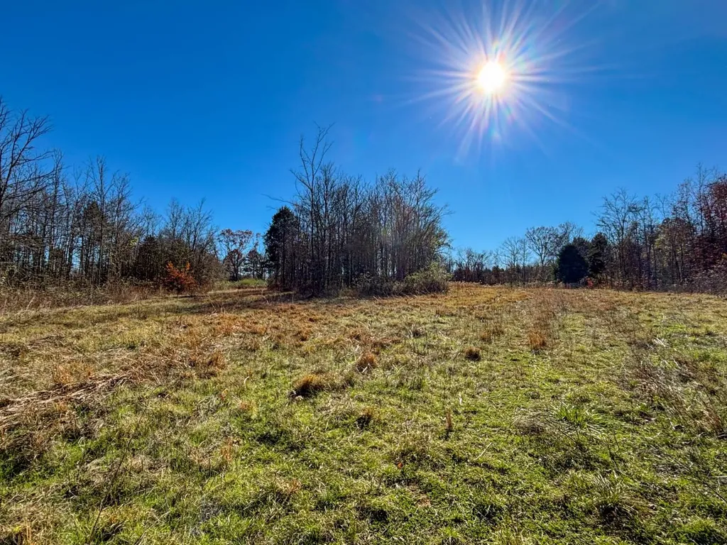 1 County Road 78 Russellville AL 35654