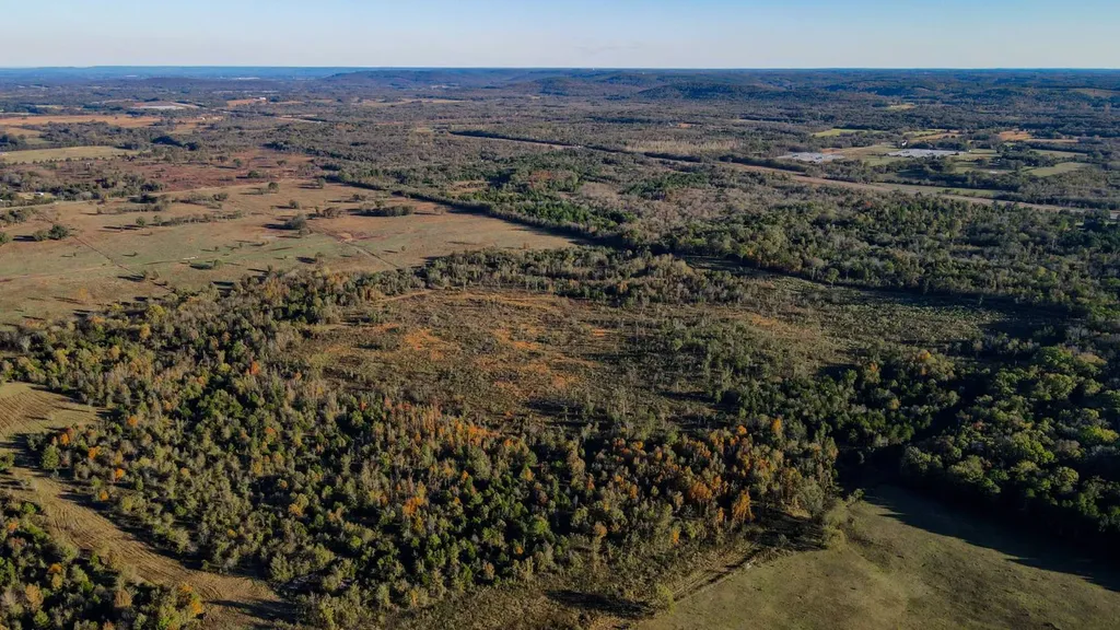 1 County Road 78 Russellville AL 35654