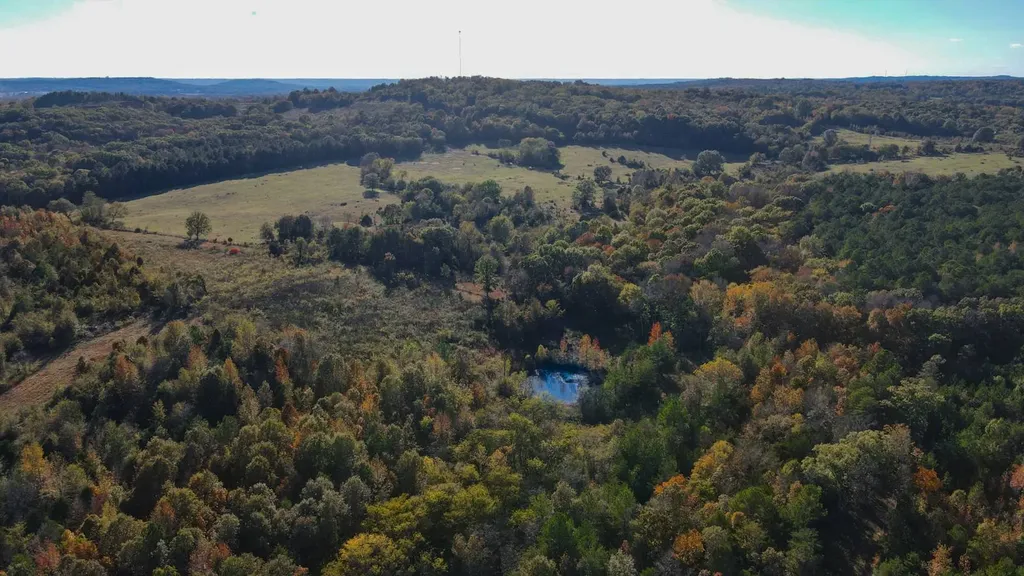 1 County Road 78 Russellville AL 35654