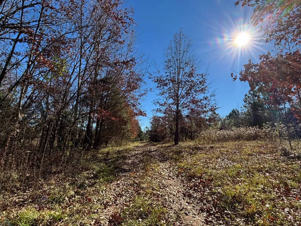 1 County Road 78 Russellville AL 35654