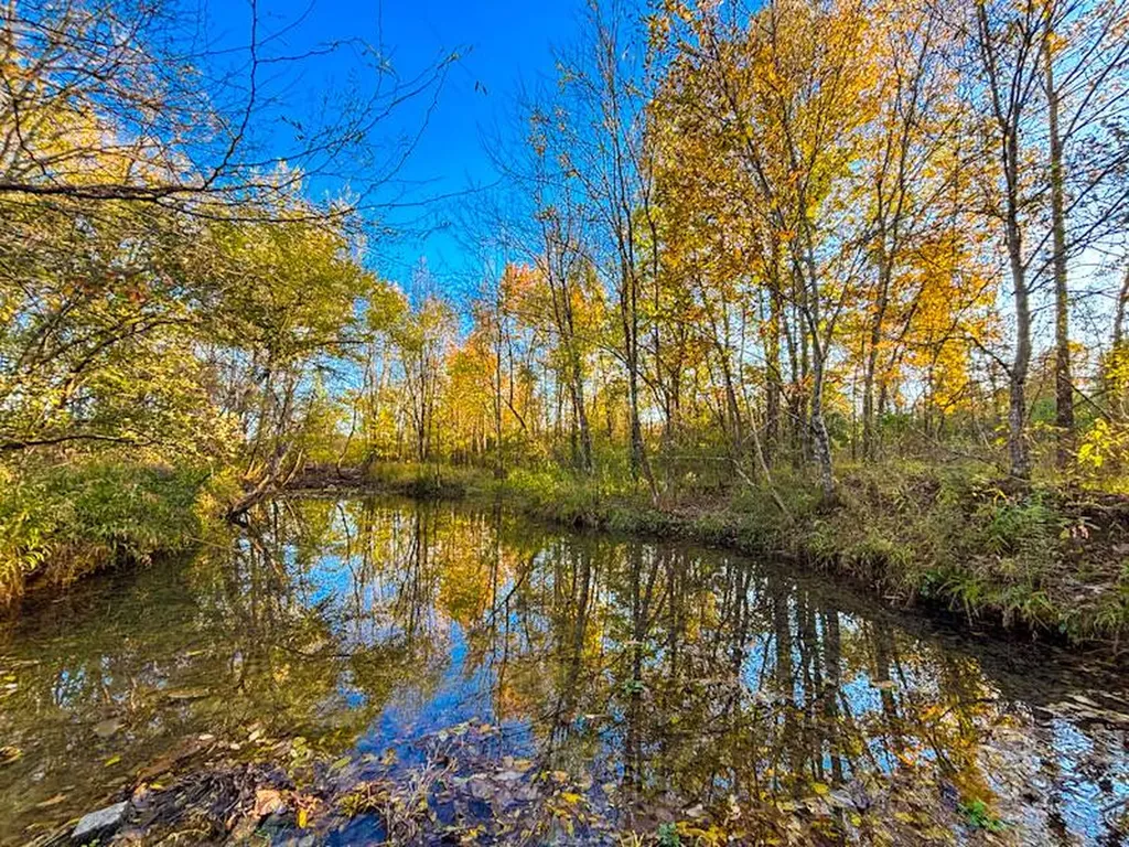 1 County Road 78 Russellville AL 35654