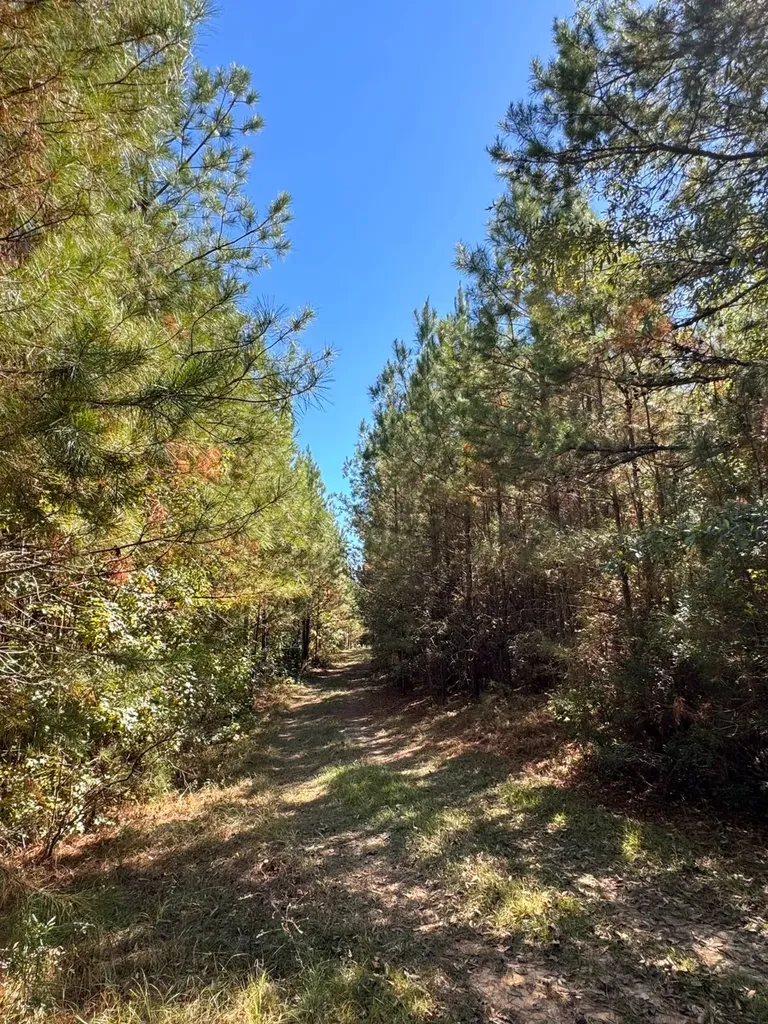 0 County Road 5 Cuba AL 36907