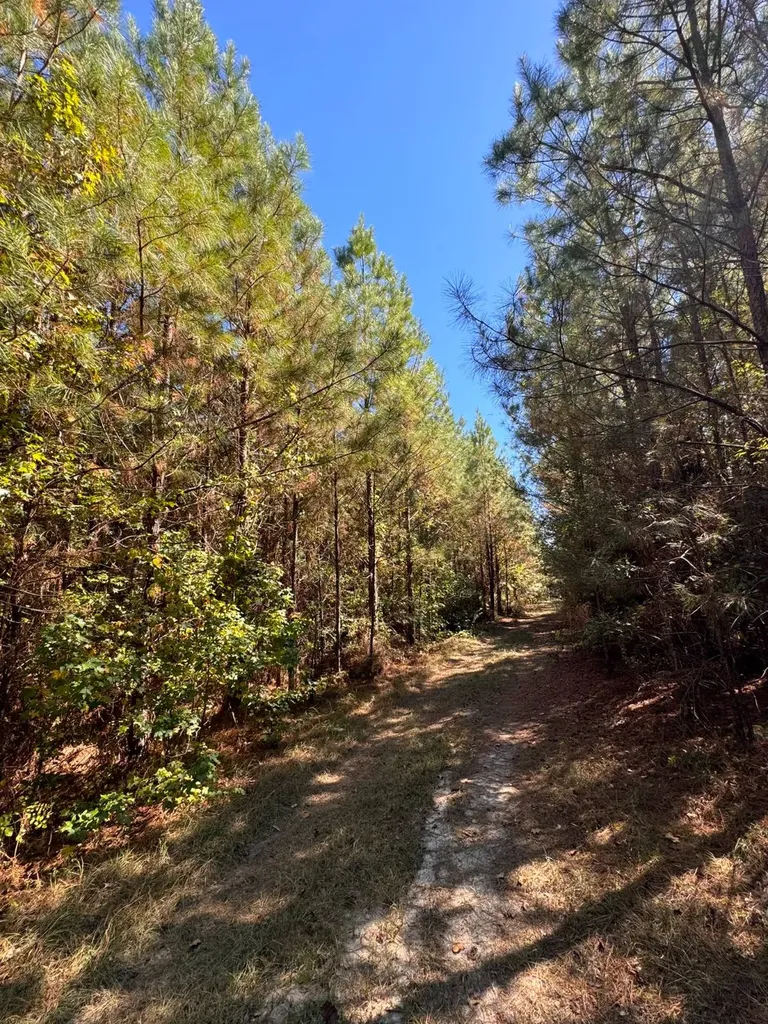 0 County Road 5 Cuba AL 36907