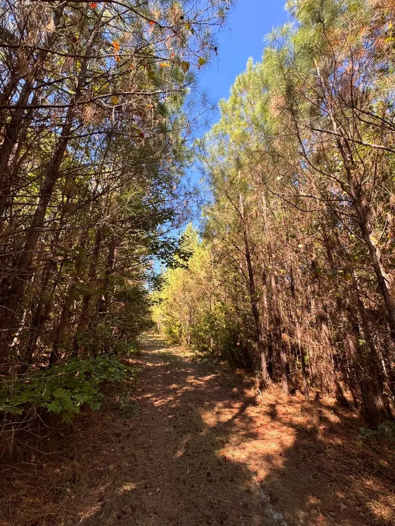 0 County Road 5 Cuba AL 36907