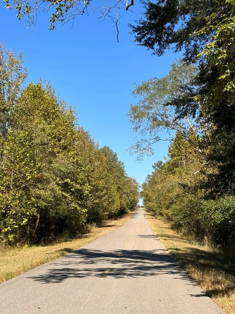 0 County Road 5 Cuba AL 36907