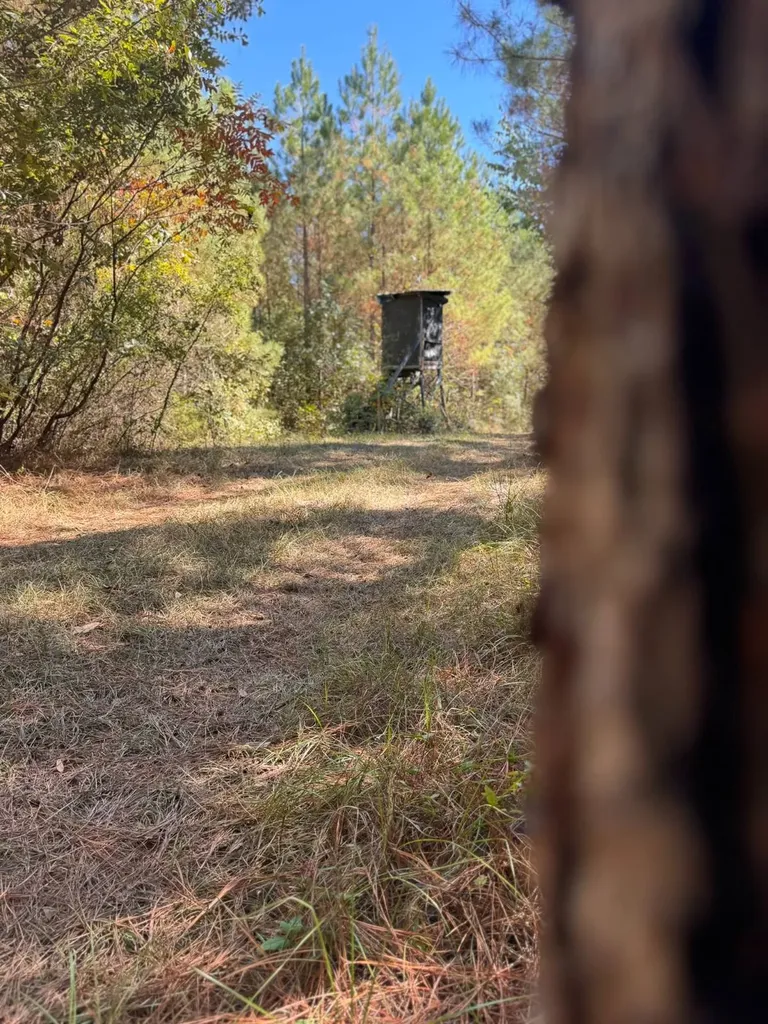 0 County Road 5 Cuba AL 36907