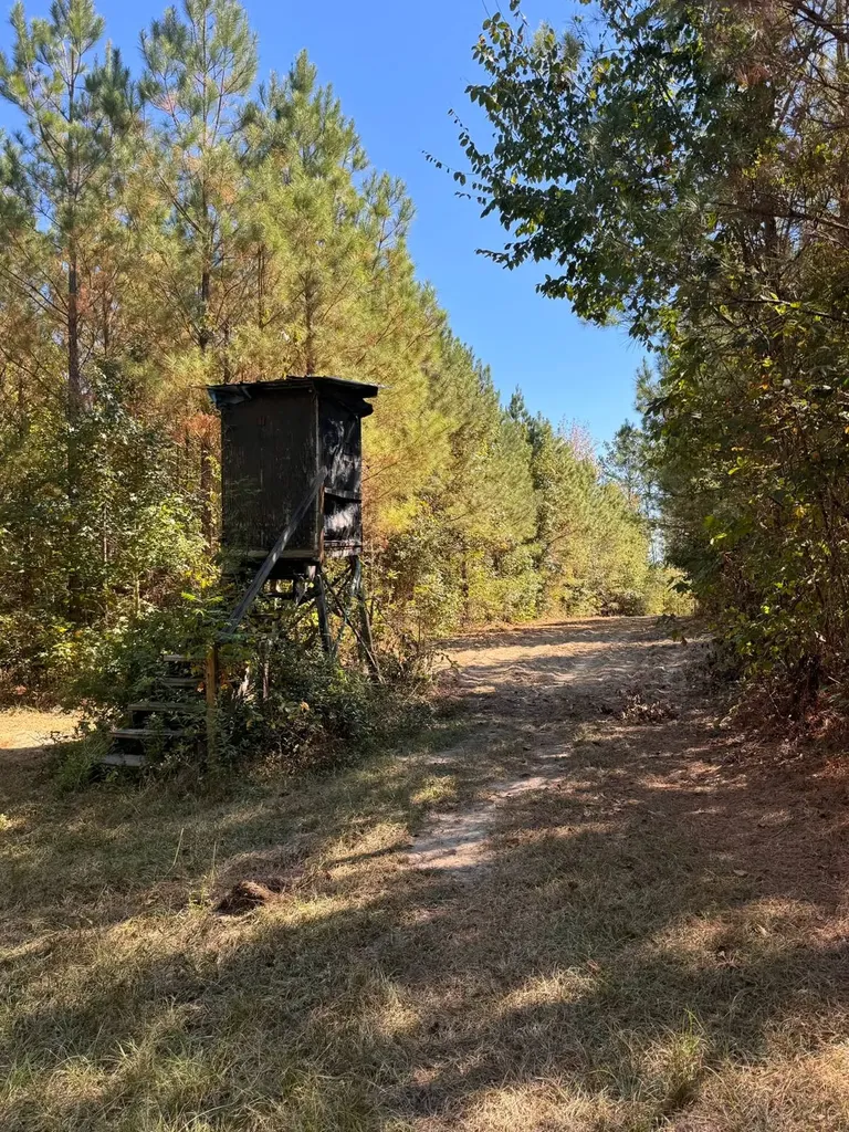 0 County Road 5 Cuba AL 36907