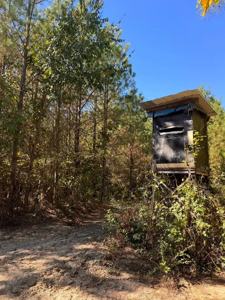 0 County Road 5 Cuba AL 36907