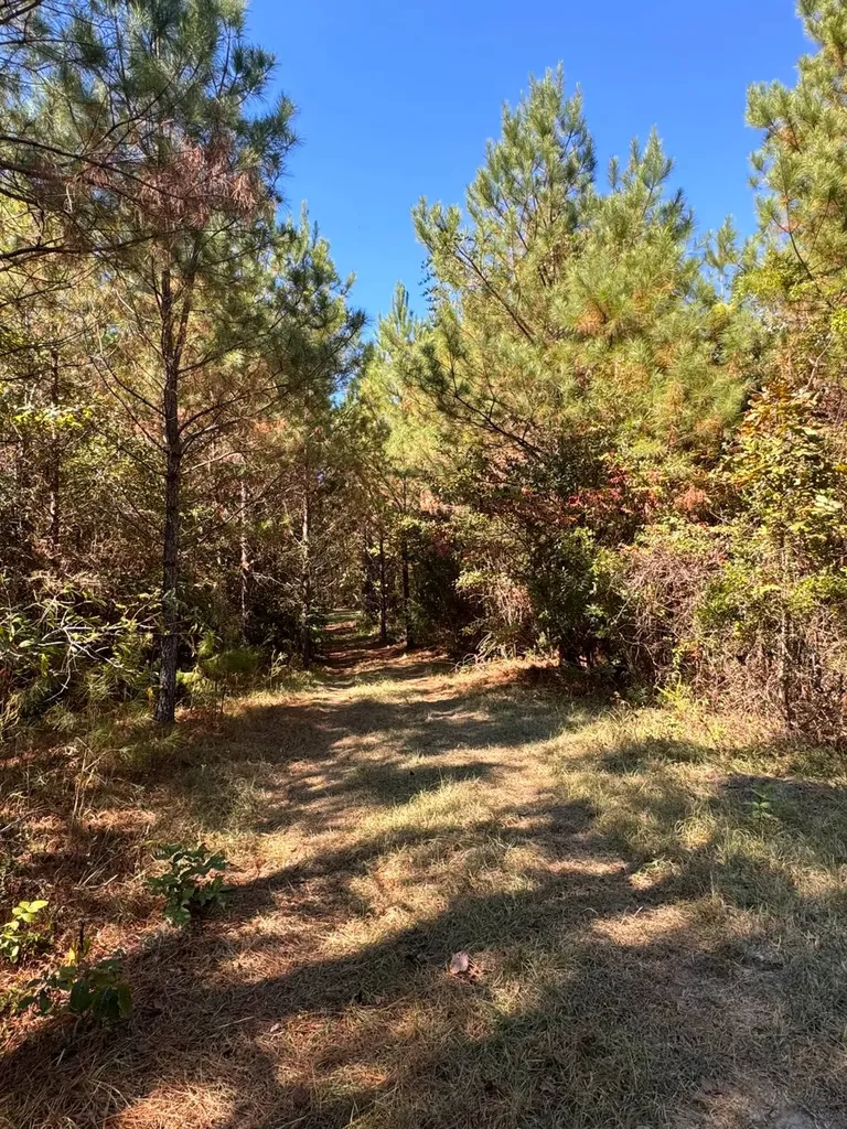 0 County Road 5 Cuba AL 36907