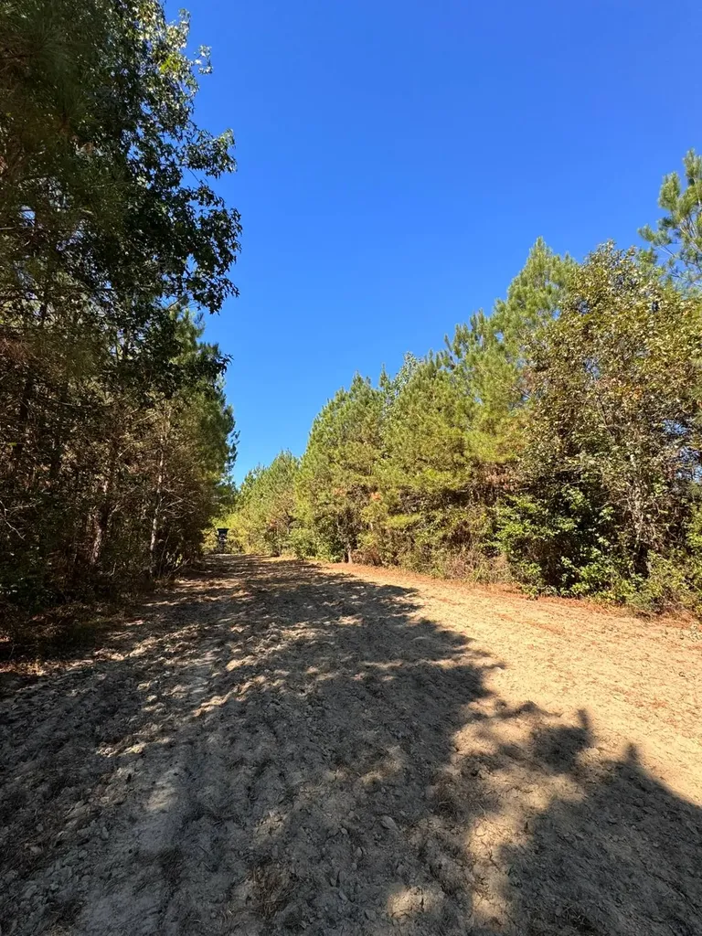 0 County Road 5 Cuba AL 36907