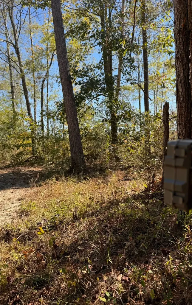 0 County Road 5 Cuba AL 36907