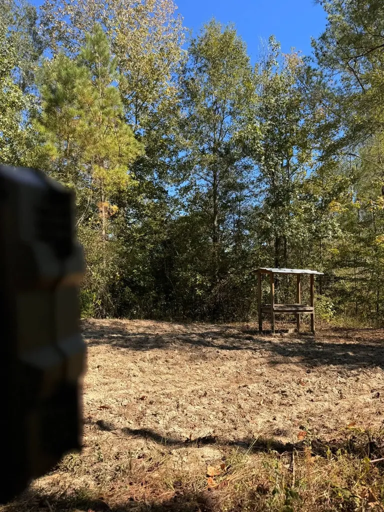 0 County Road 5 Cuba AL 36907