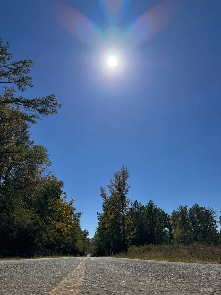 0 County Road 5 Cuba AL 36907