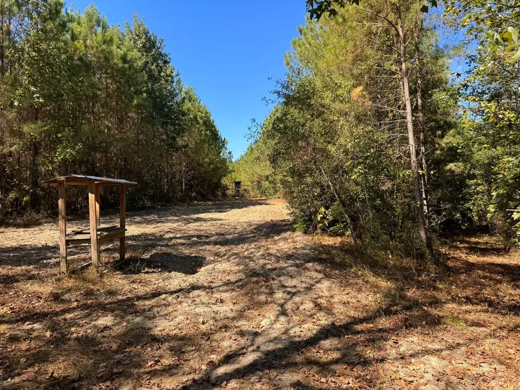 0 County Road 5 Cuba AL 36907