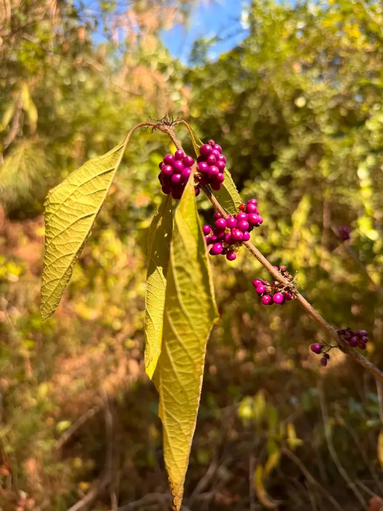 0 County Road 5 Cuba AL 36907