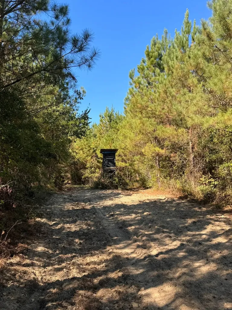 0 County Road 5 Cuba AL 36907