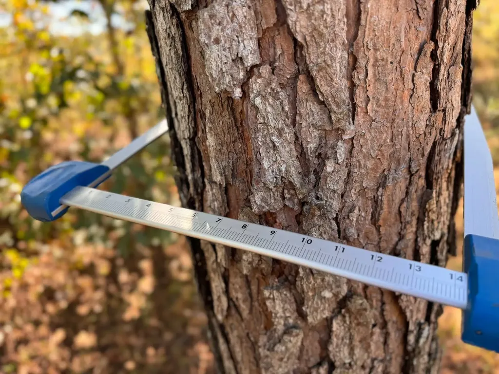 0 County Road 5 Cuba AL 36907