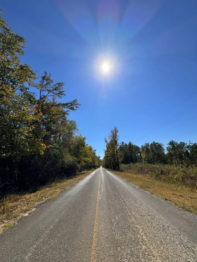 0 County Road 5 Cuba AL 36907