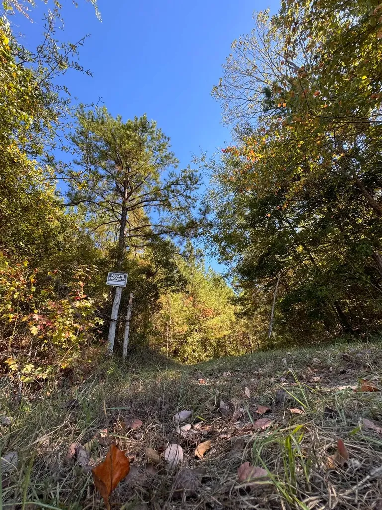 0 County Road 5 Cuba AL 36907