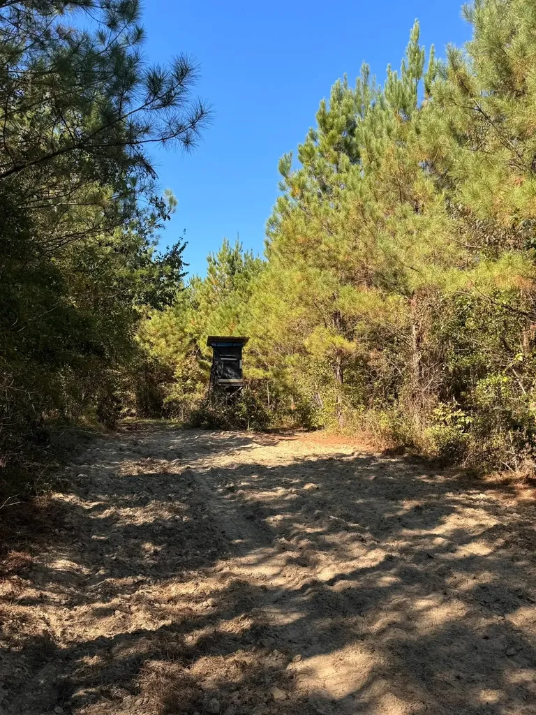 0 County Road 5 Cuba AL 36907