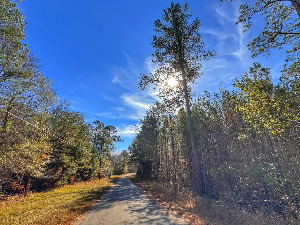 0 County Road 25 Reform AL 35481